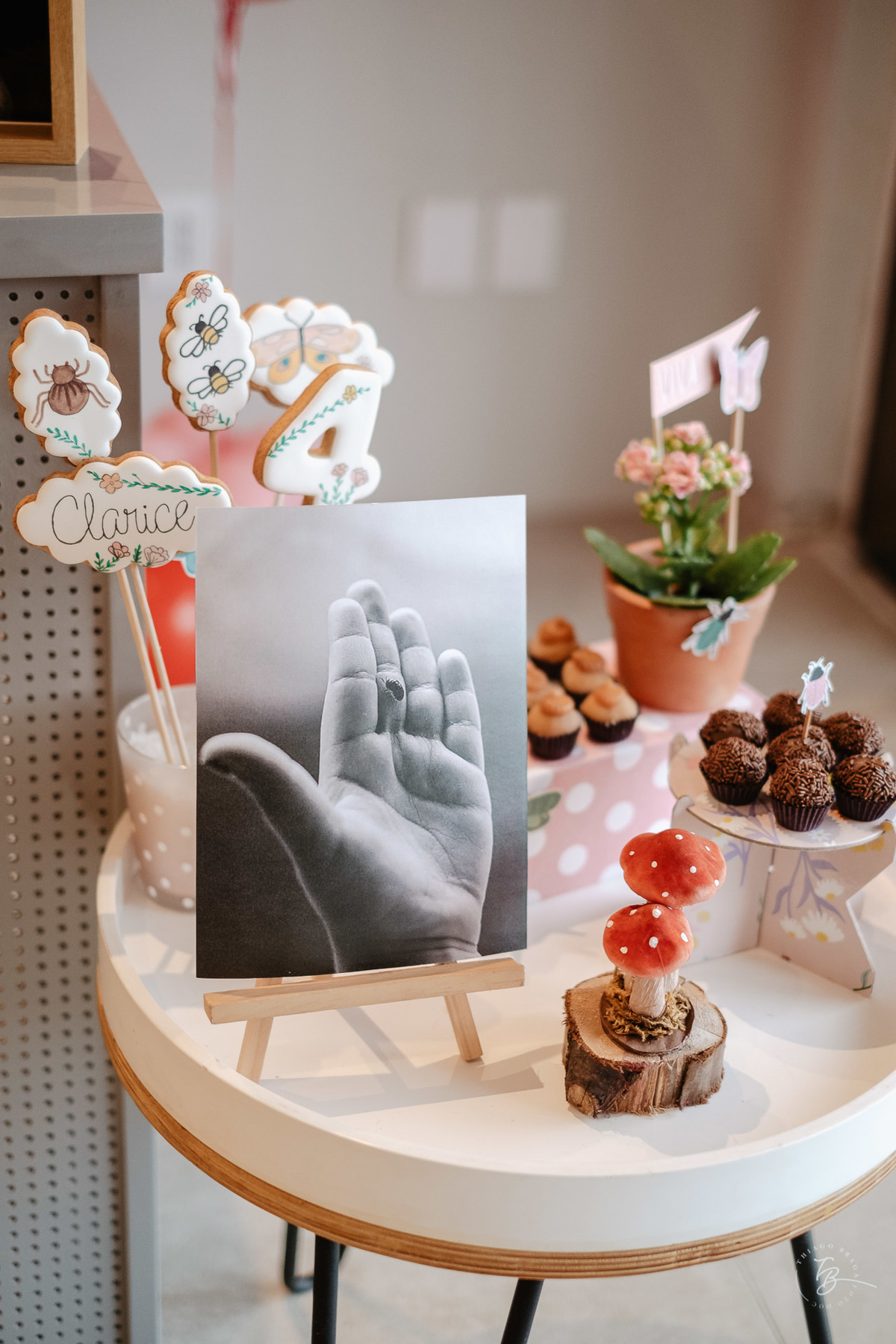 Aniversário intimista, 4 anos da Clarice no Caracóis e Caramujos, em Florianópolis, por Thiago Braga Fotografa. 