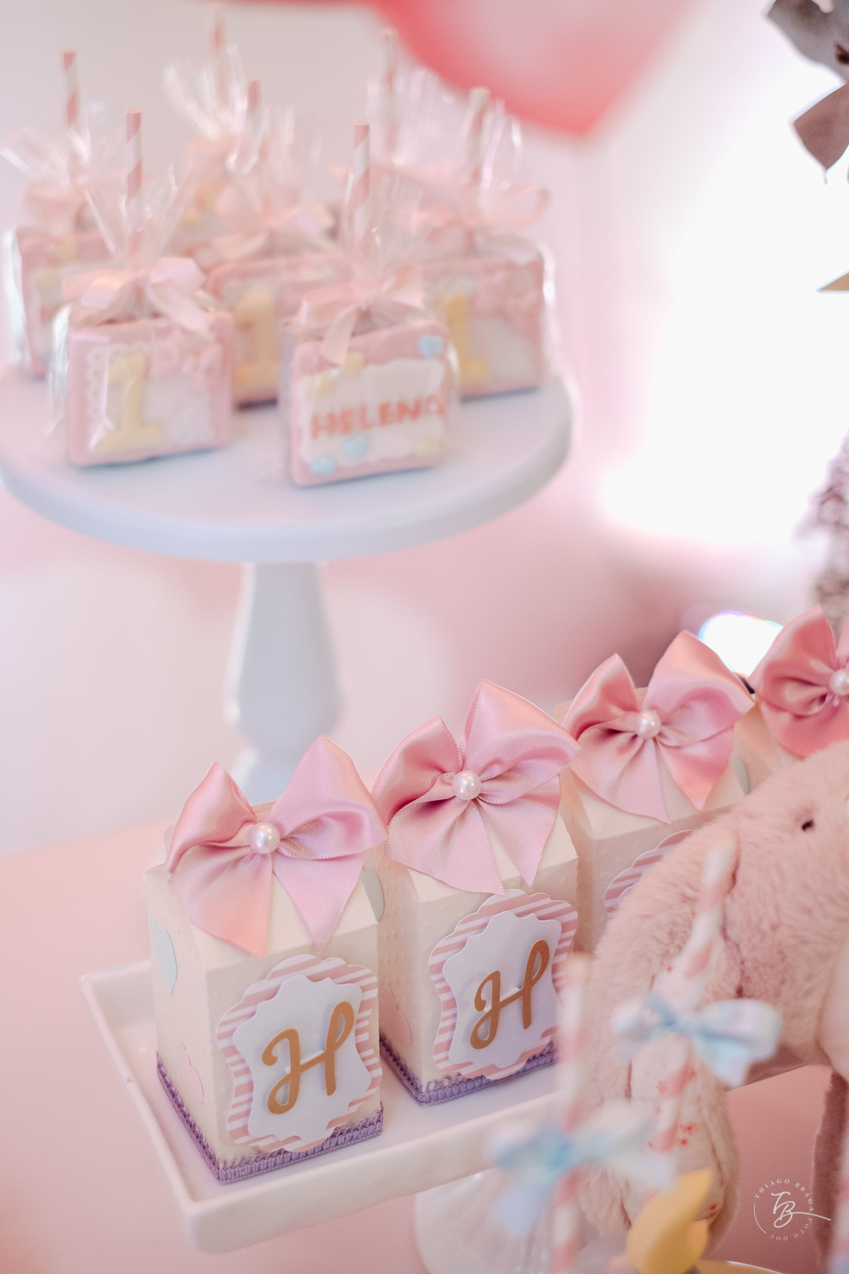 aniversário documental por Thiago Braga Fotografia. Em casa e na Turma da Mônica Buffet e arte em Florianópolis.