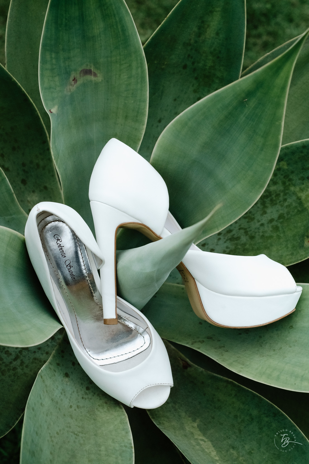 Casamento intimista no Moçambique, Rio Vermelho em Florianópolis. Cerimônia ao ar livre para celebrar a união do Osvaldo e da Sandra. Fotos por Thiago Braga Fotografia.