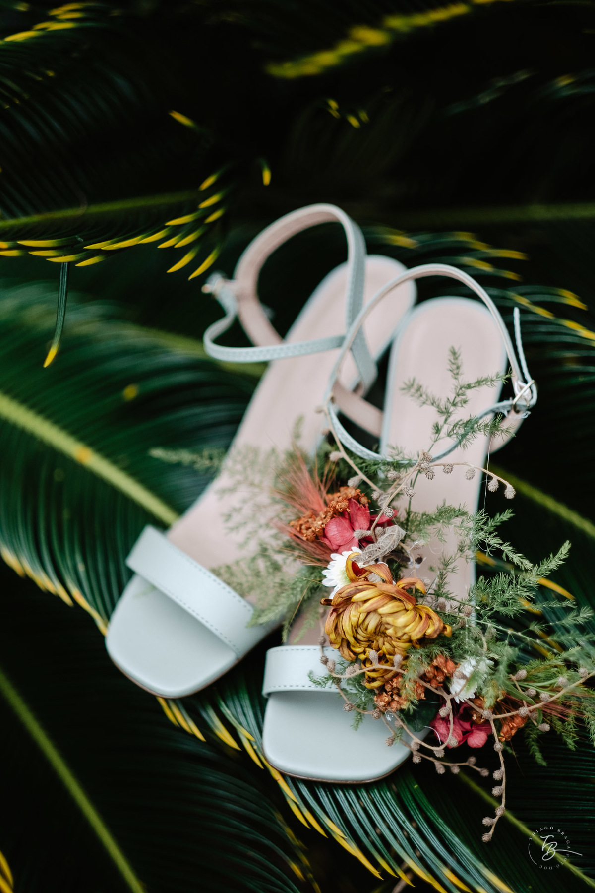 Casamento Indaiá Lincoln e Suellen, fim de tarde, na Lagoa em Florianópolis - Sc por Thiago Braga foto
