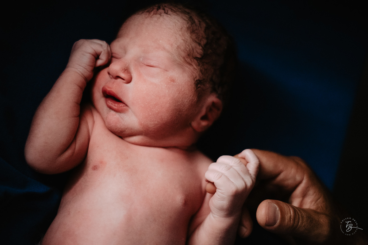 nascimento em uma cesárea humanizada no ilha hospital e maternidade, em Florianópolis/Sc. Registrado por Thiago Braga Fotografia. 