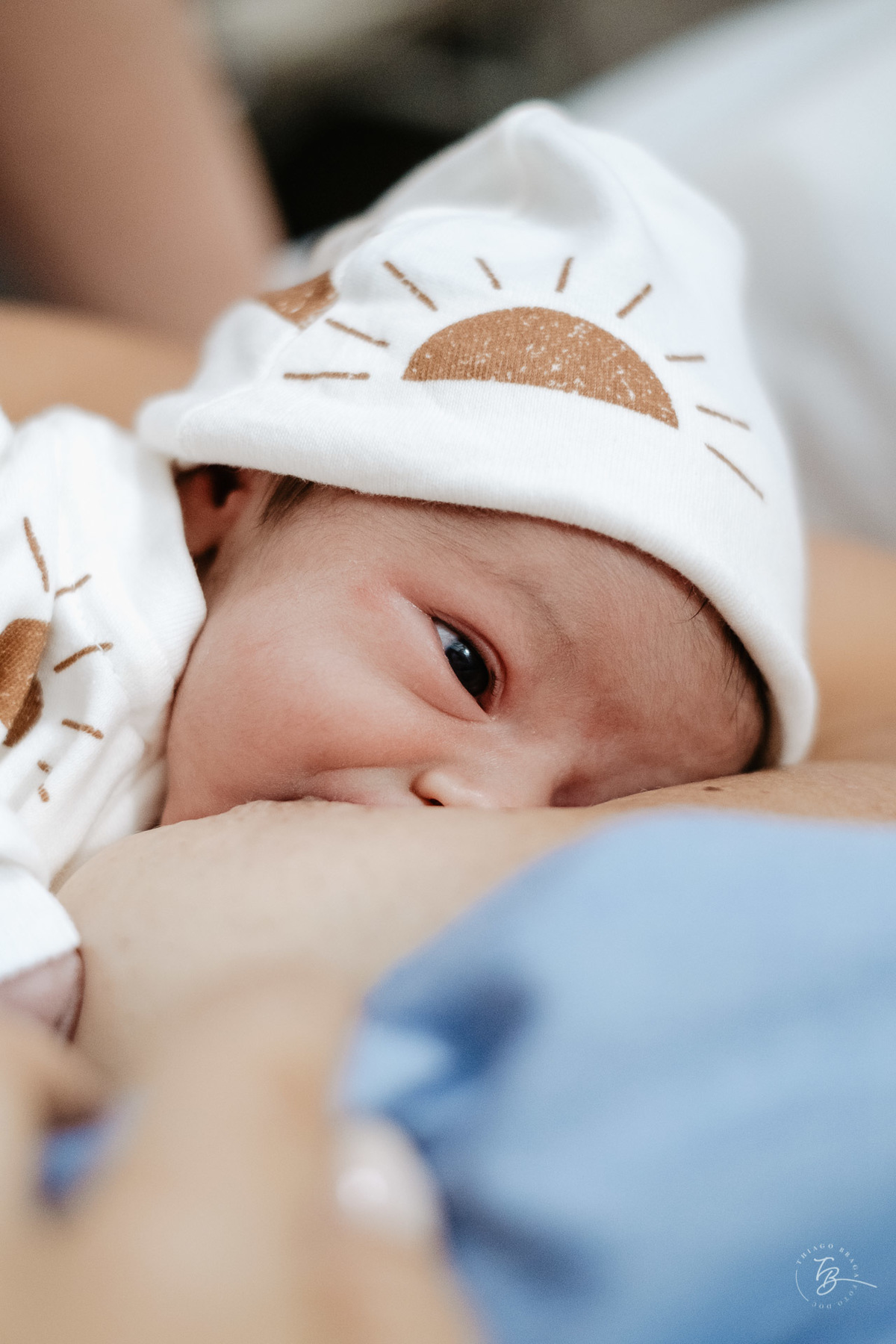 nascimento do Pedro, cesárea após indução na Clínica e Maternidade Santa Helena em Florianópolis, por Thiago Braga Fotografia. 