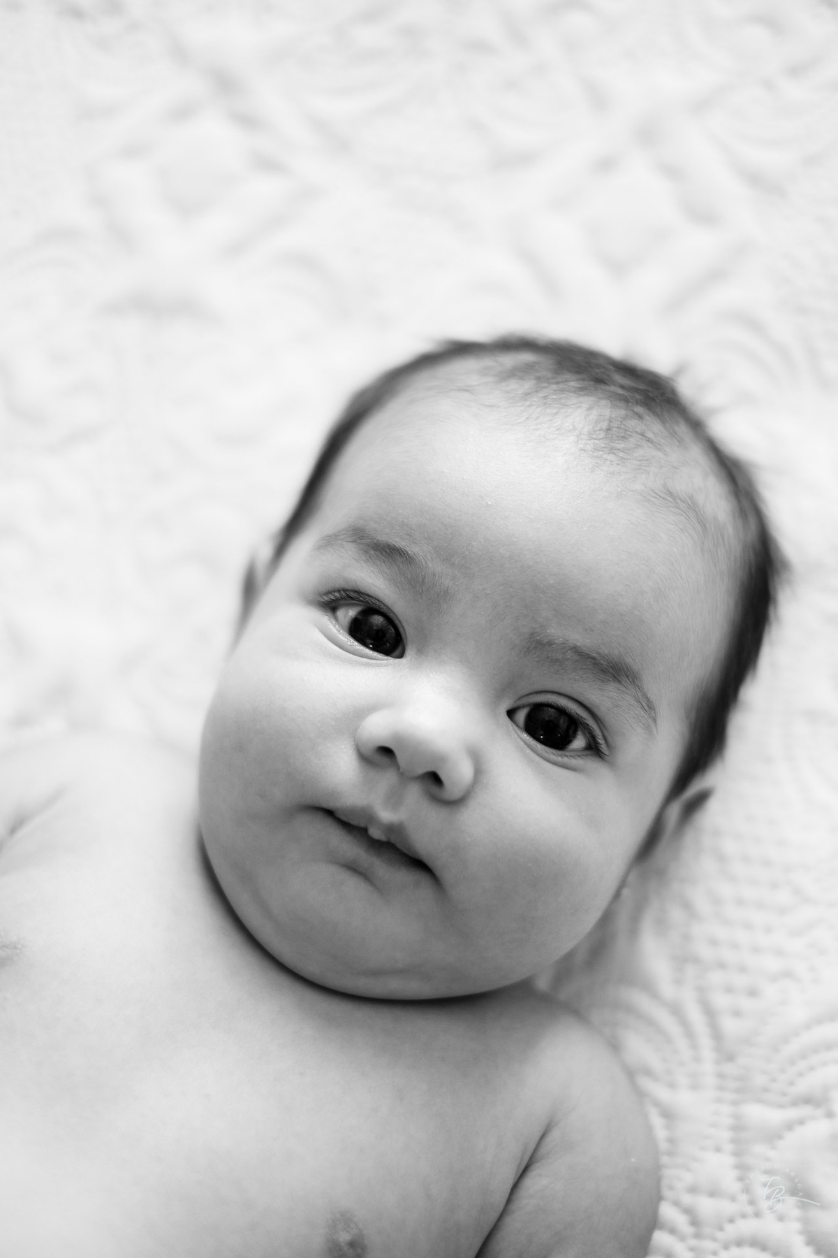 Ensaio em casa, de 2 meses da Perola em Florianópolis, por Thiago Braga