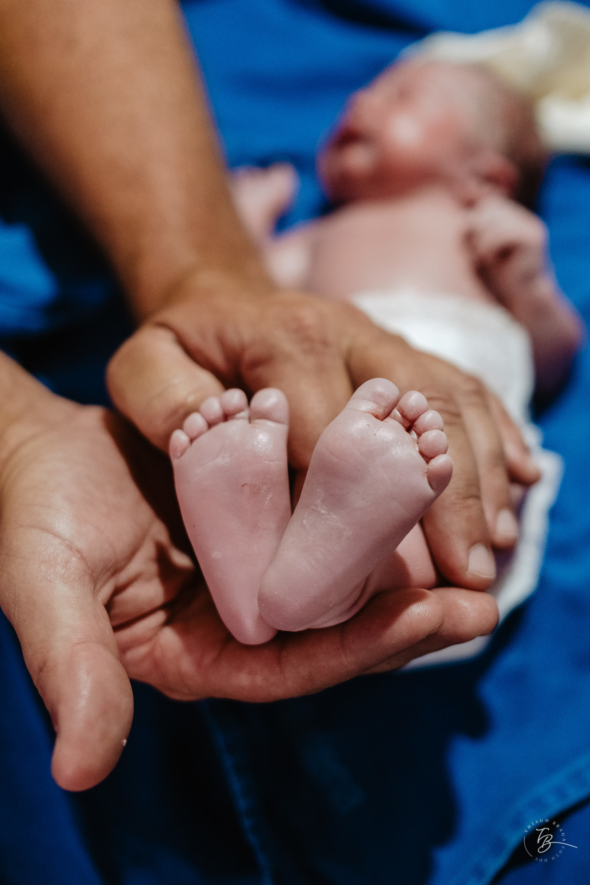 O dia do nascimento do Henry, por Thiago Braga Fotografia. Parto na maternidade Santa Helena em Florianópolis. 