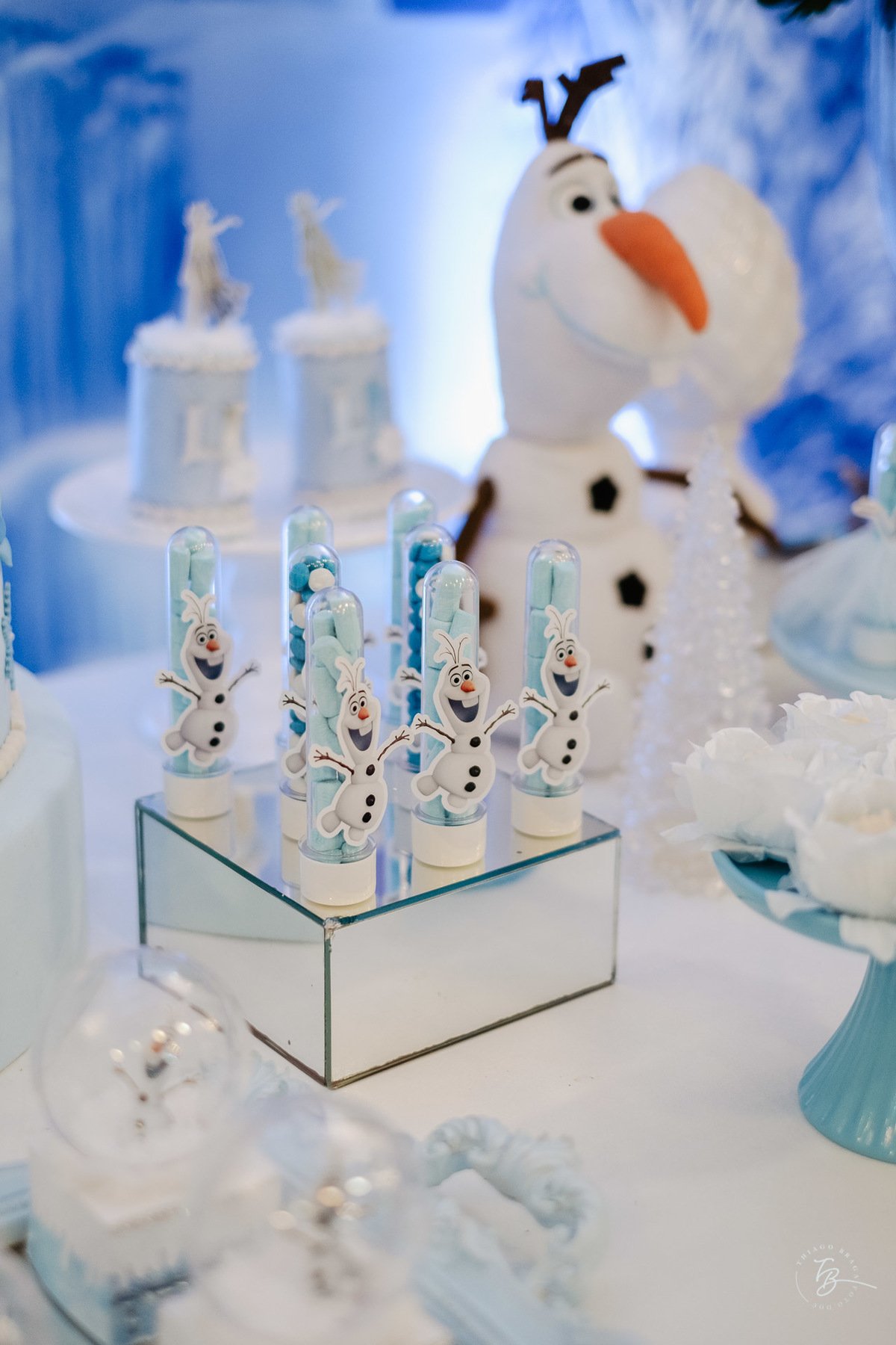 aniversário infantil, casa de festas classic buffet, em Florianópolis, tema Elza, 4 anos Betina, por Thiago Braga Fotografia.