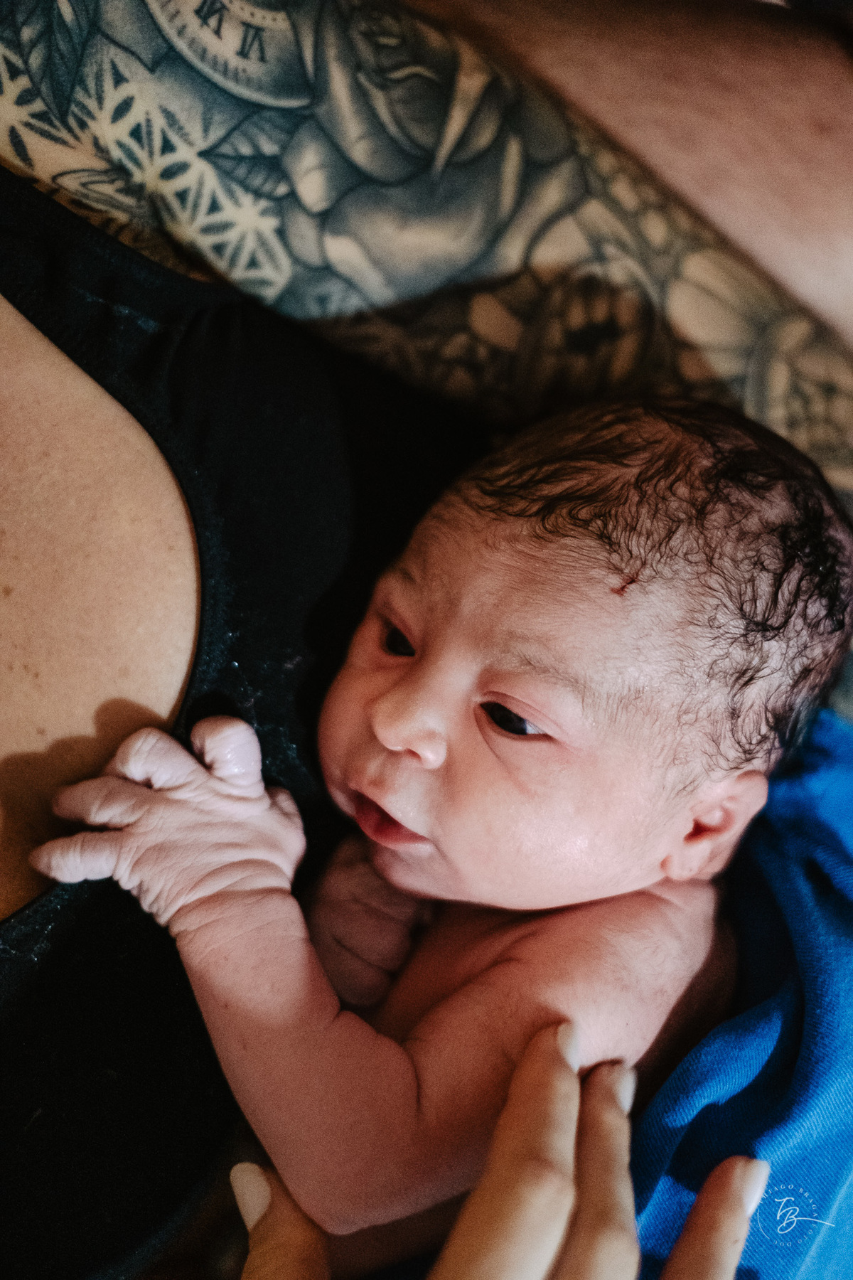 parto normal do nascimento do Lucca, na maternidade Santa Helena em Florianópolis, por Thiago Braga fotografia.