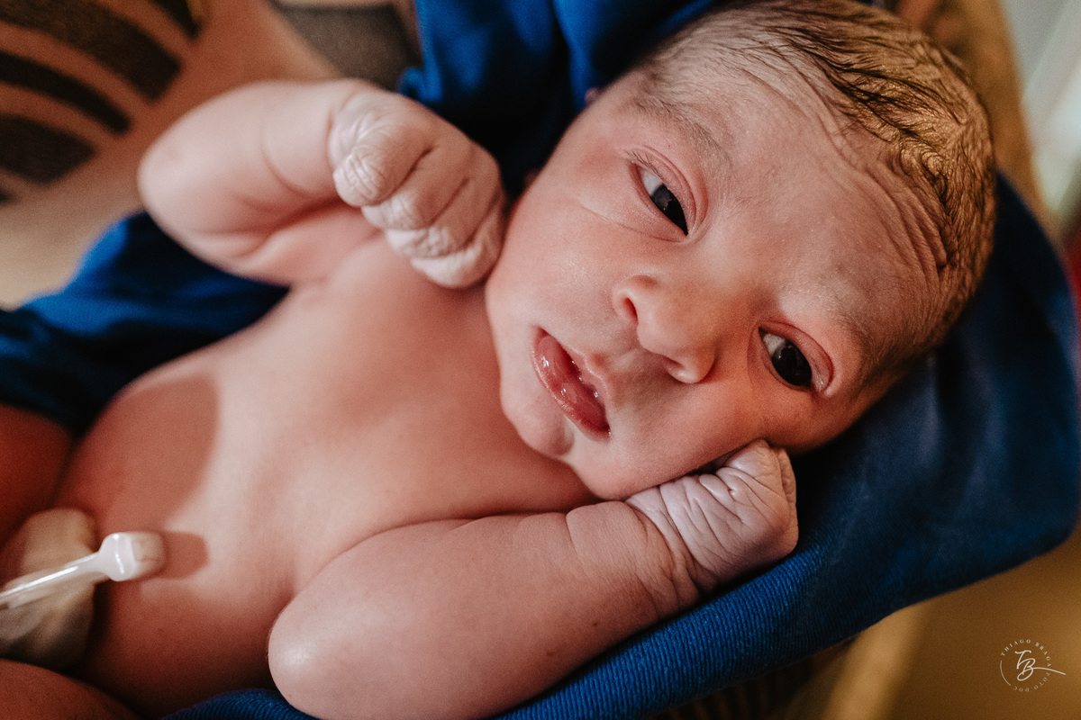 parto normal do nascimento do Lucca, na maternidade Santa Helena em Florianópolis, por Thiago Braga fotografia.
