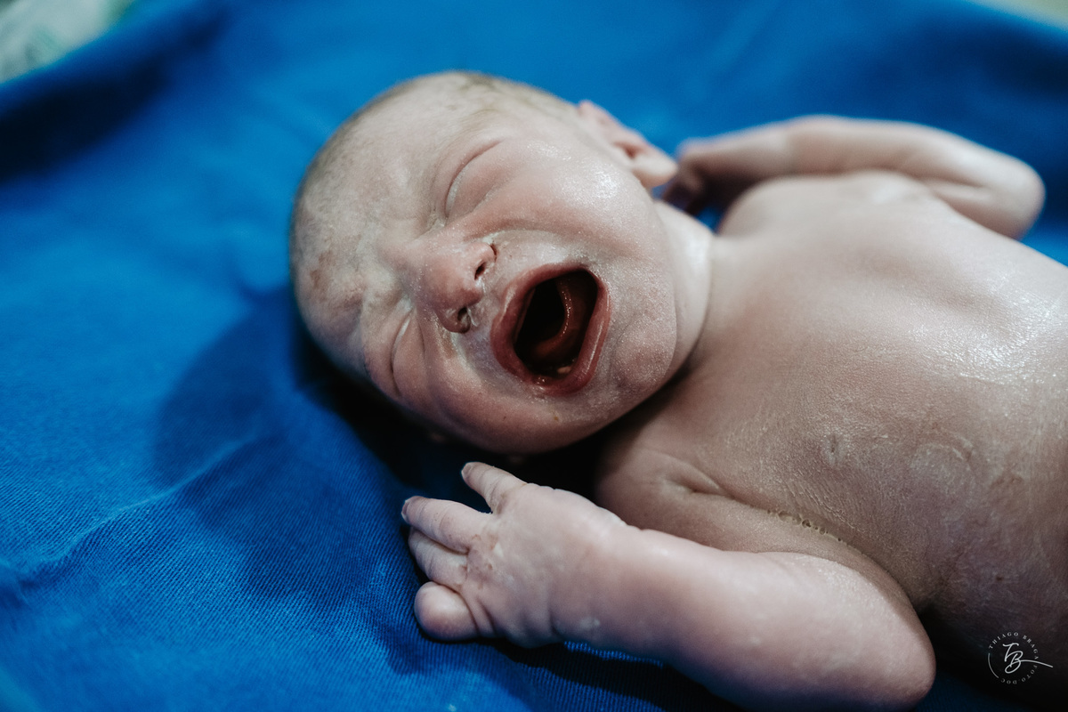 nascimento de cesárea no ilha hospital e maternidade, em Florianópolis, por Thiago Braga Fotografia