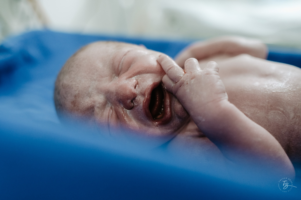 nascimento de cesárea no ilha hospital e maternidade, em Florianópolis, por Thiago Braga Fotografia