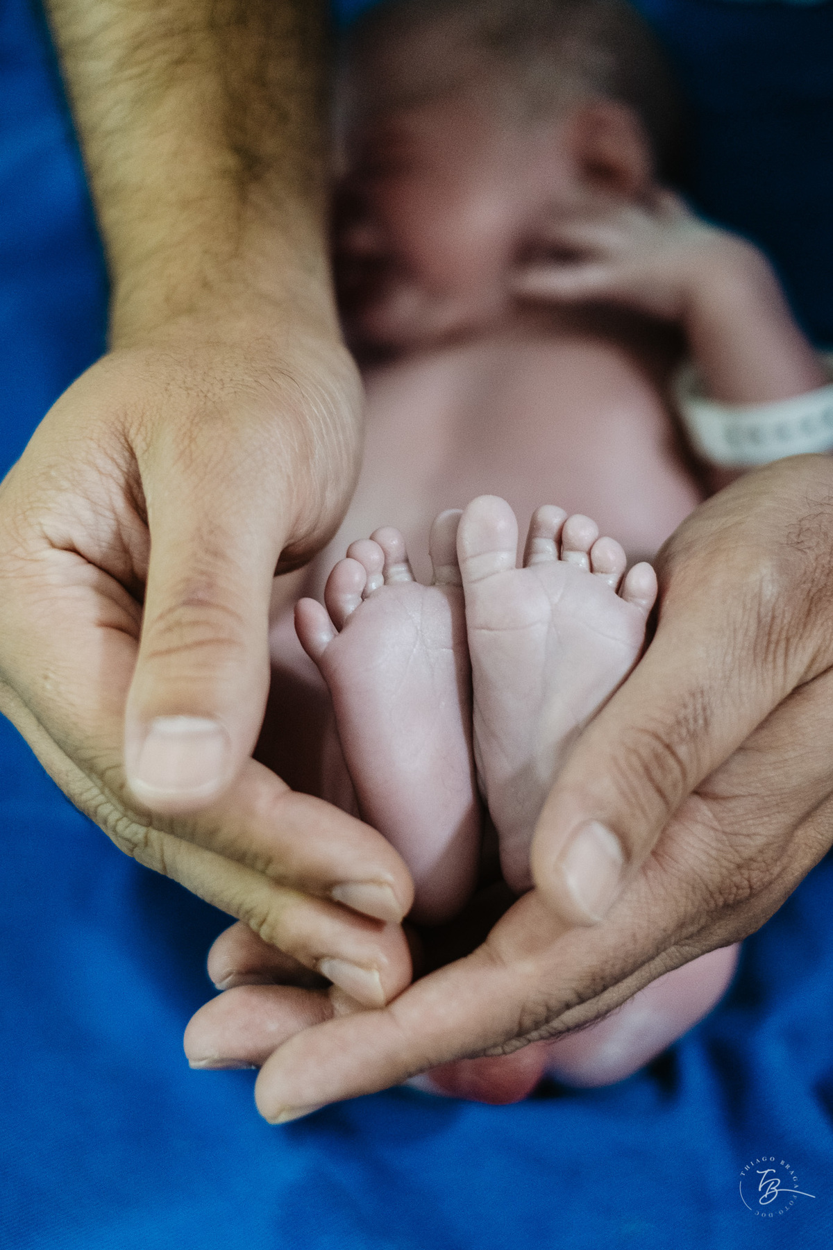 nascimento de cesárea no ilha hospital e maternidade, em Florianópolis, por Thiago Braga Fotografia