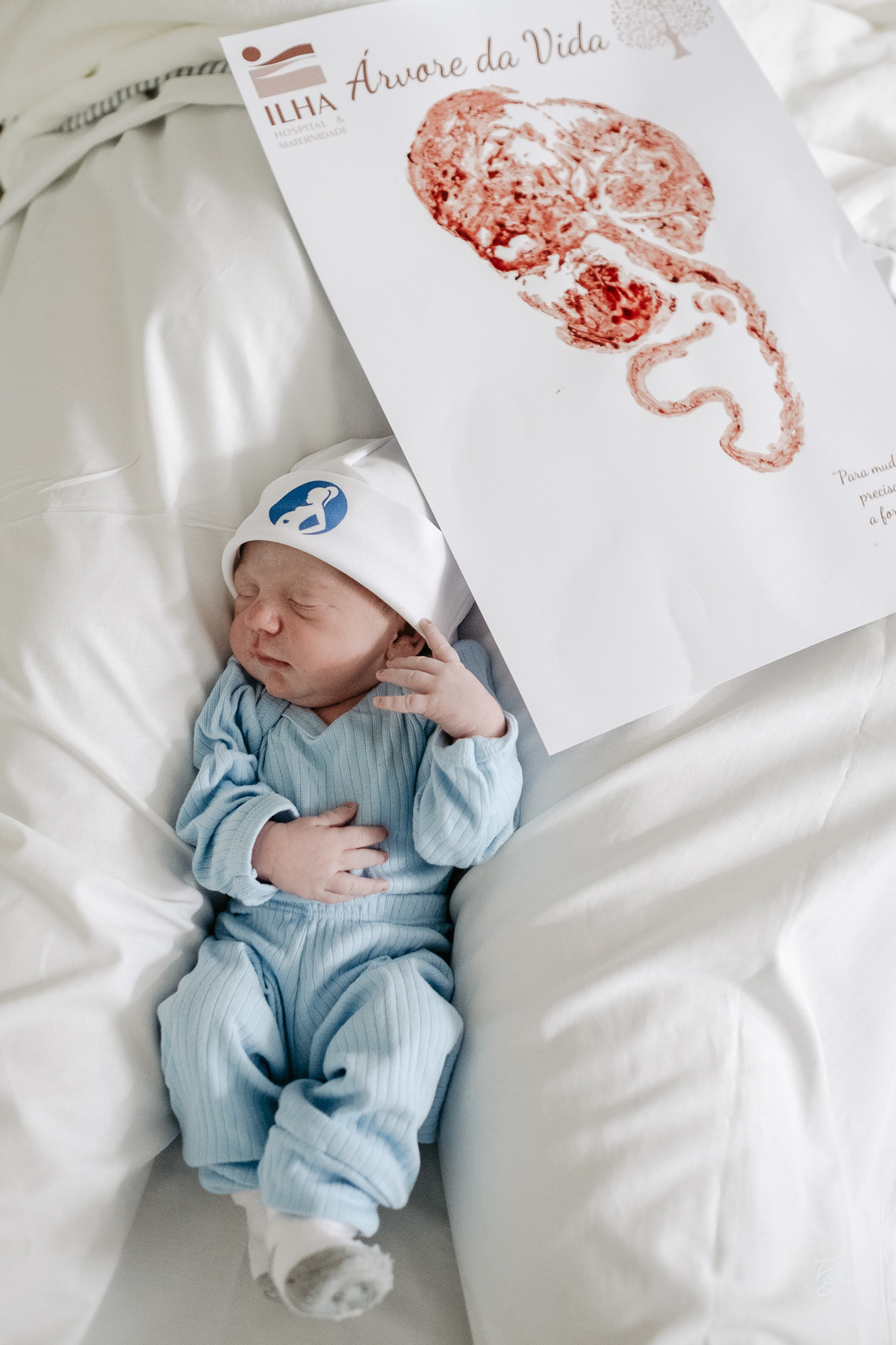 nascimento de cesárea no ilha hospital e maternidade, em Florianópolis, por Thiago Braga Fotografia