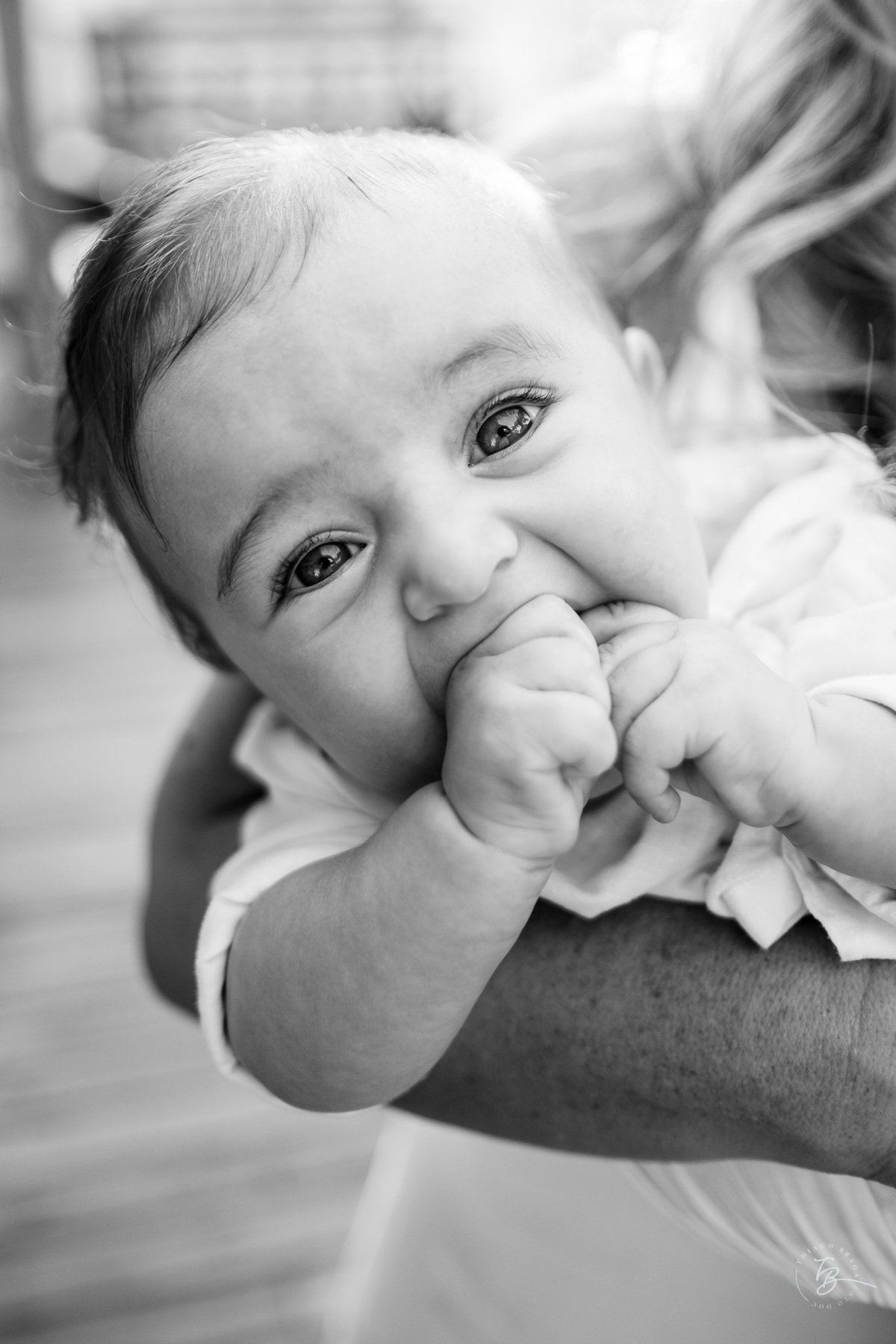 batizado documental da pousada beach house, na praia da Daniela em Florianópolis, por Thiago Braga fotografia