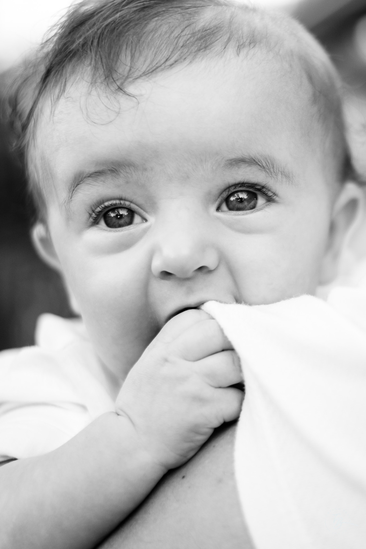 batizado documental da pousada beach house, na praia da Daniela em Florianópolis, por Thiago Braga fotografia
