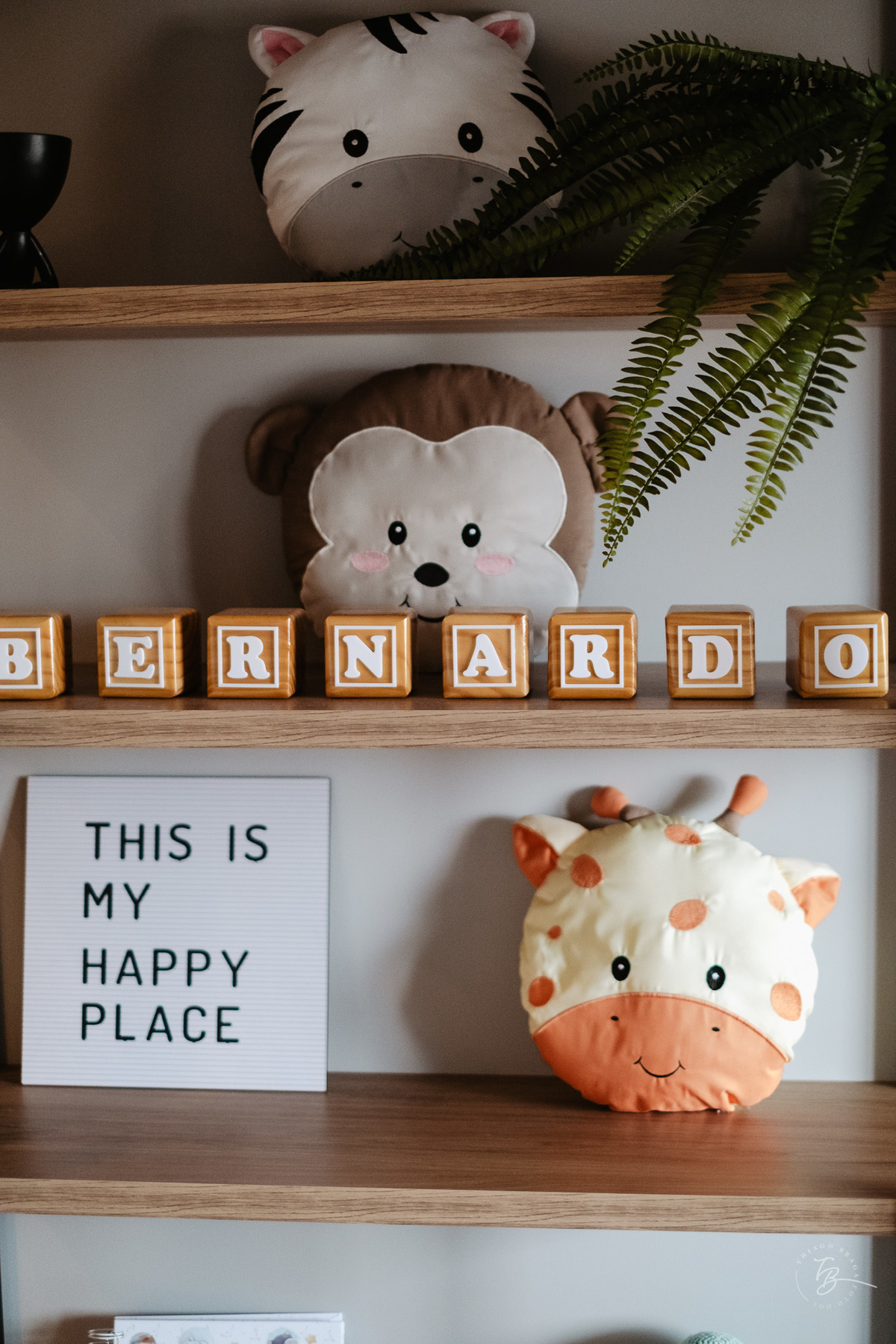 ensaio de bebê, 6 meses do Bernardo, em casa, por Thiago Braga fotografia