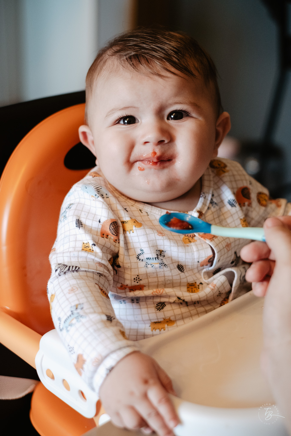 ensaio de bebê, 6 meses do Bernardo, em casa, por Thiago Braga fotografia