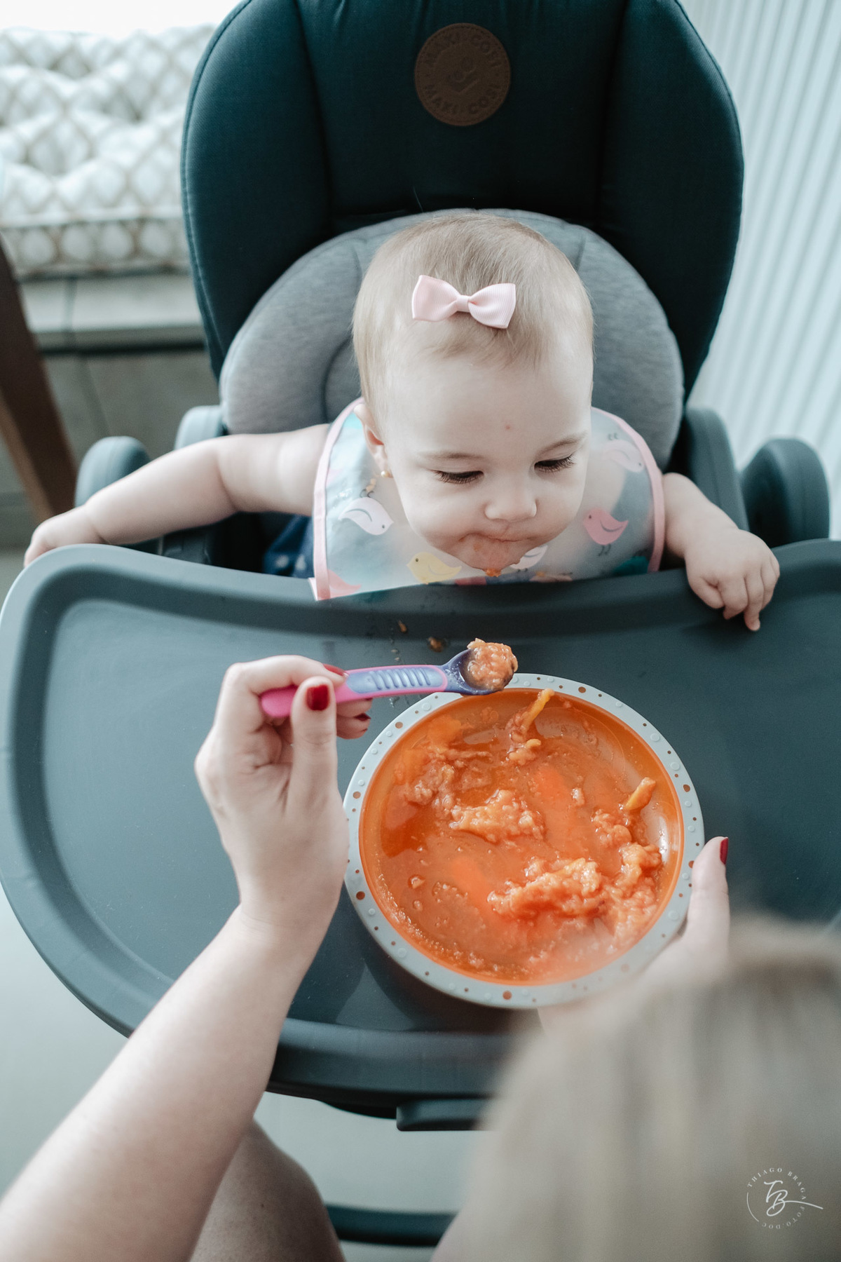 ensaio de familia, bebe com 8 meses, na cidade de Itajaí, acompanhamento anual, por Thiago Braga Fotografia.