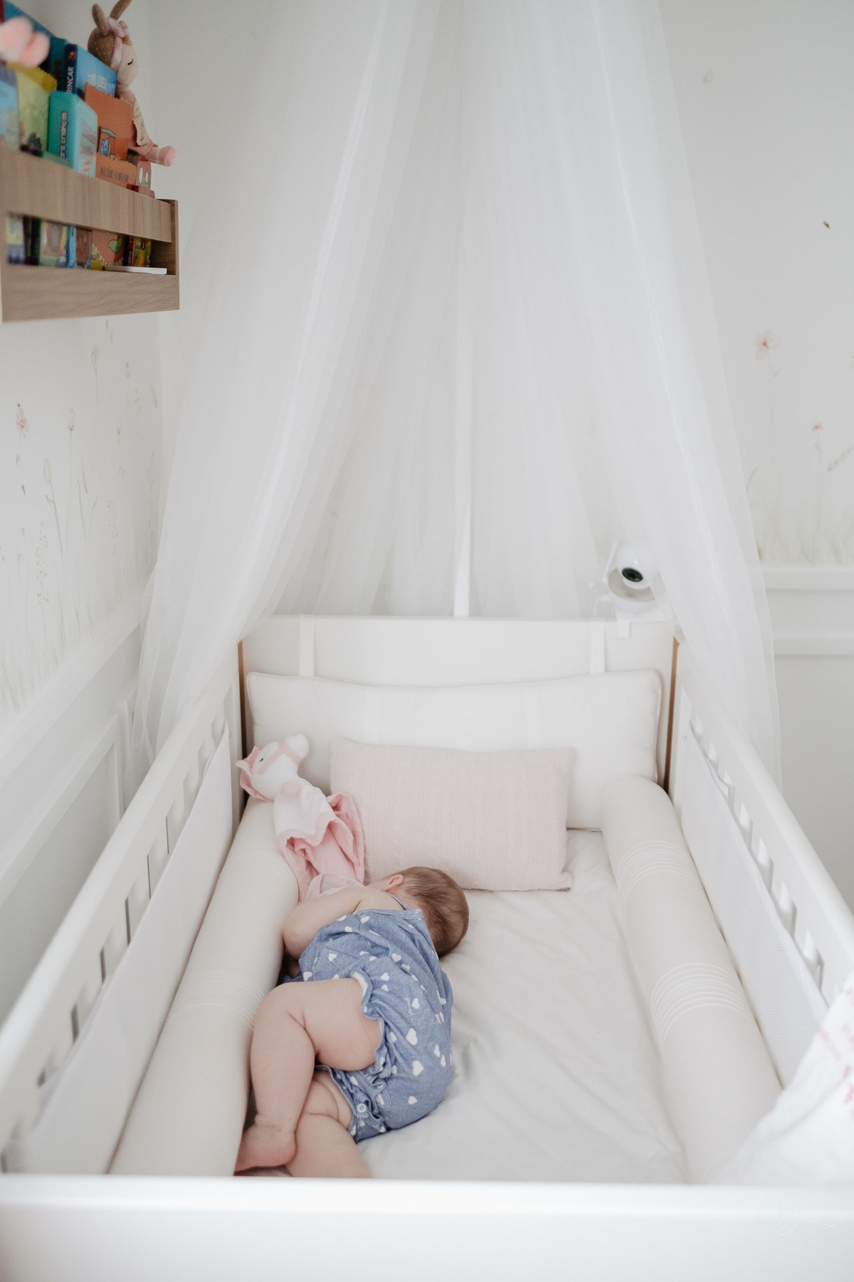 ensaio de familia, bebe com 8 meses, na cidade de Itajaí, acompanhamento anual, por Thiago Braga Fotografia.