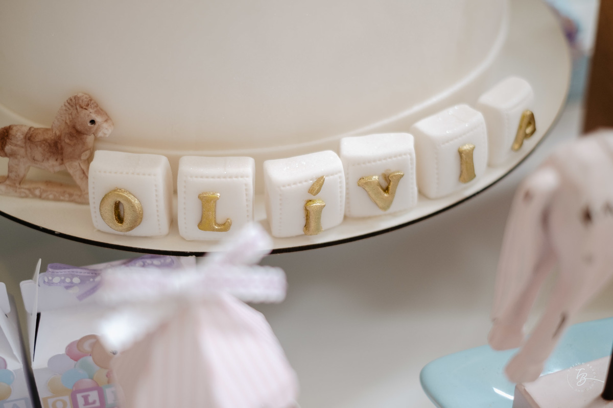 o dia do aniversário da Olívia, Festa no salão de festas do prédio, e fotos em casa.