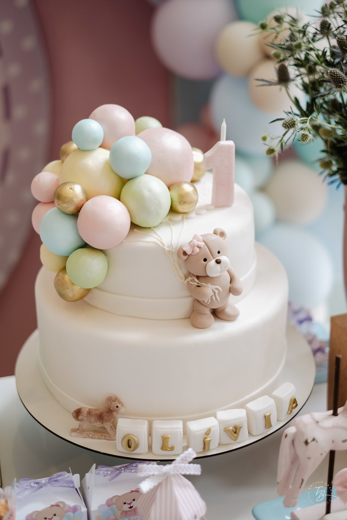 o dia do aniversário da Olívia, Festa no salão de festas do prédio, e fotos em casa.