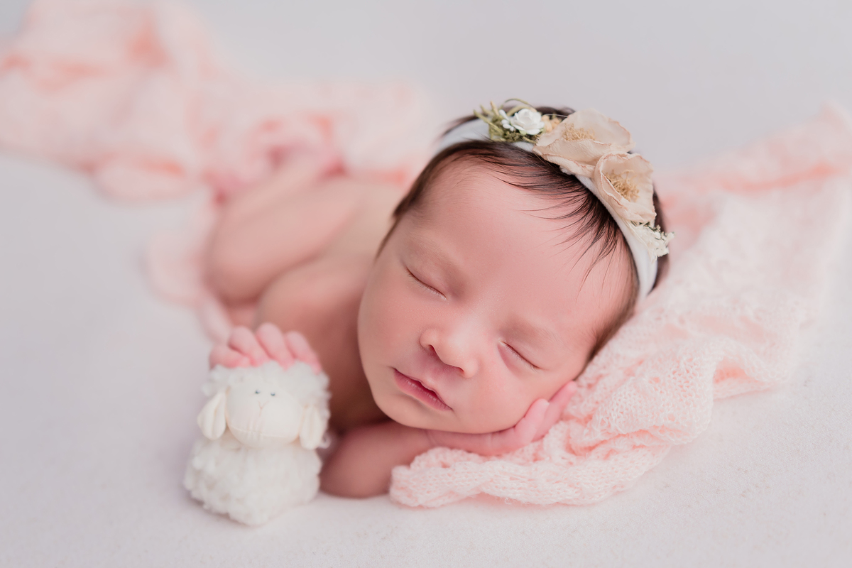 ensaio de bebê recém-nascido em são josé dos campos