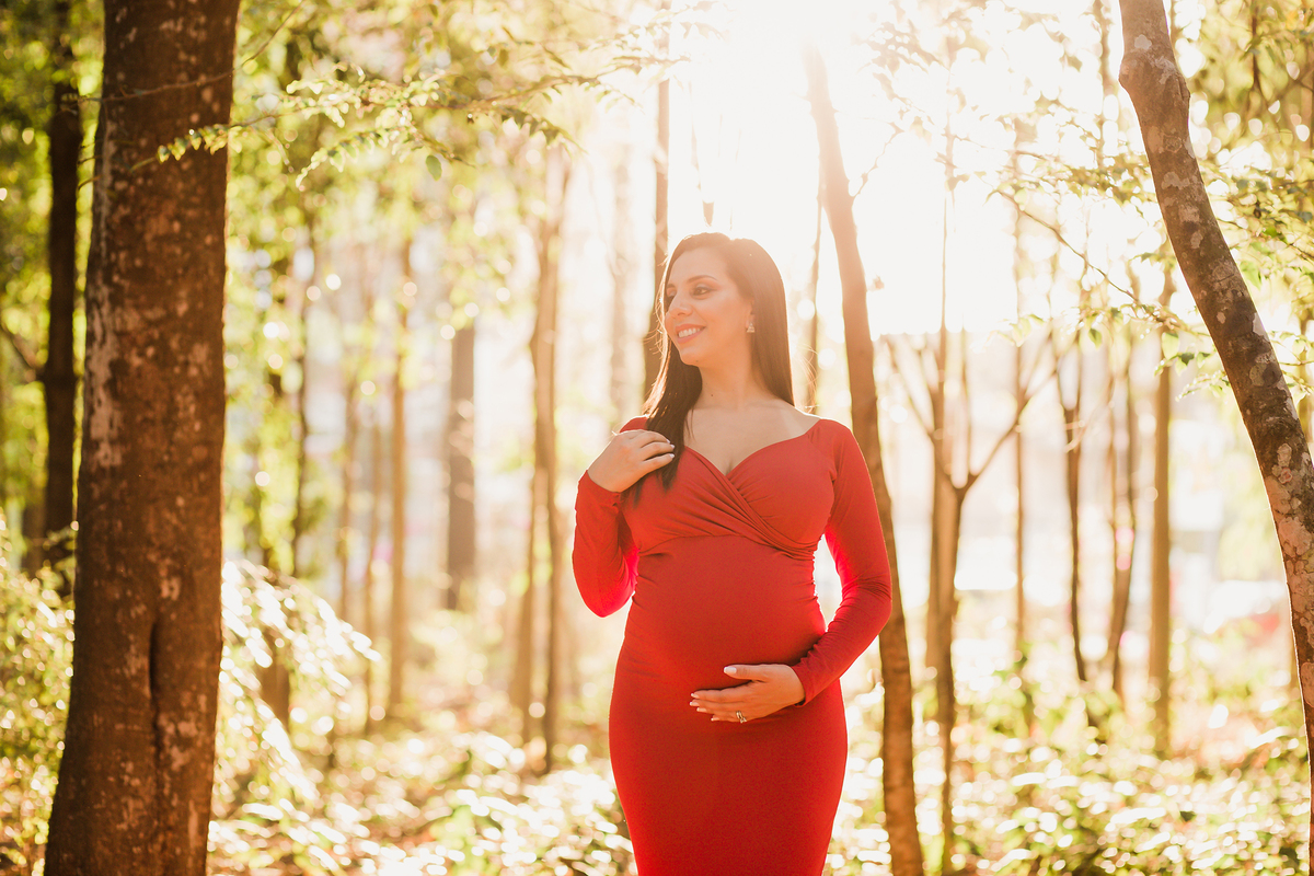 Ensaio gestante no vicentina aranha em sjc