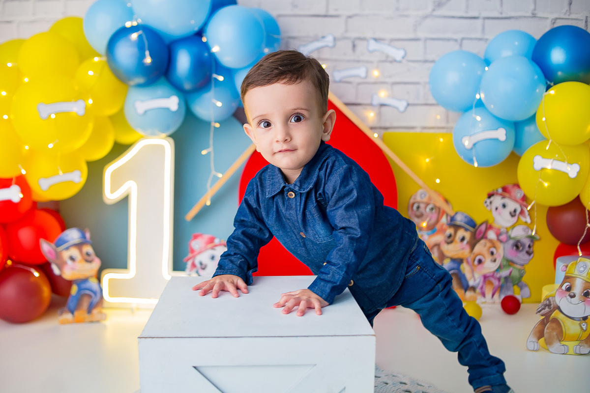 Ensaio no tema patrulha canina