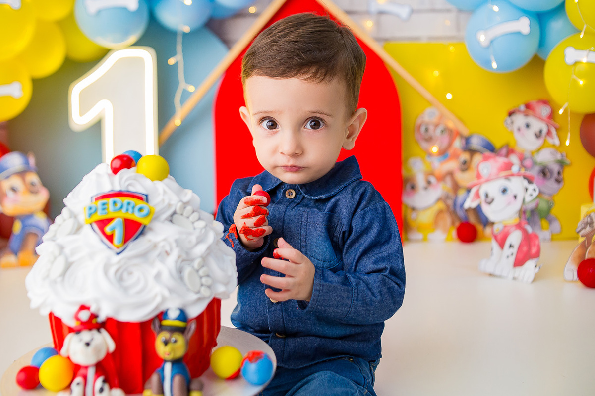 bolo da patrulha canina