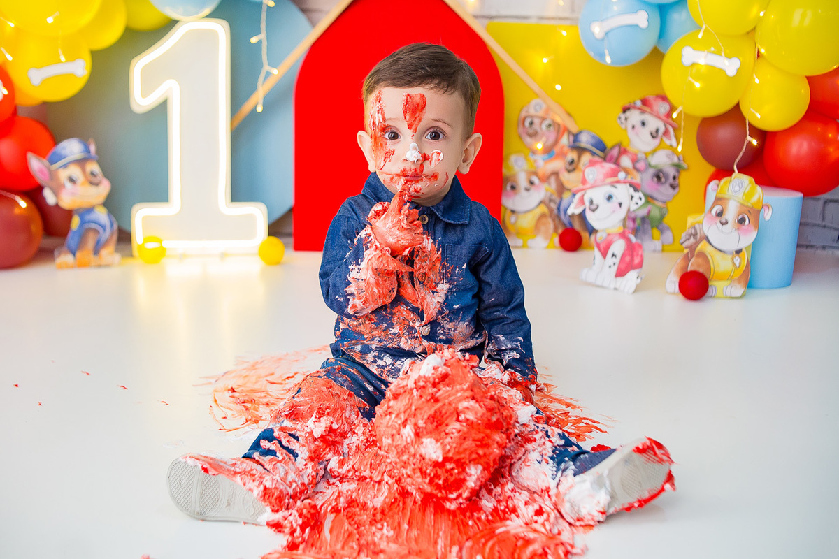 Smash de patrulha canina