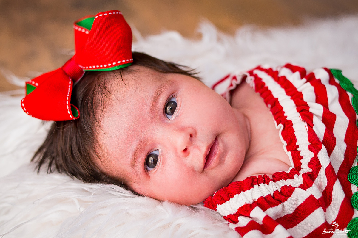 Fotógrafo de Natal no Rio Grande do Sul