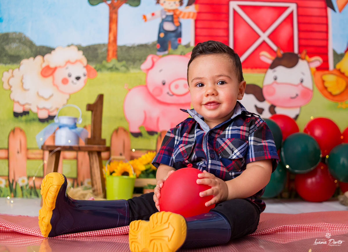 Smash the cake Fazendinha