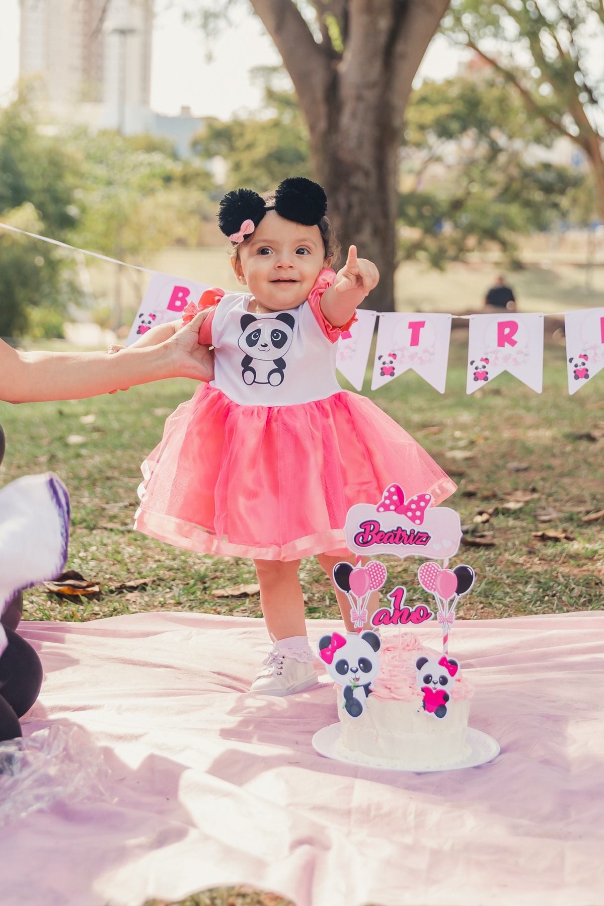 smash the cake bauru