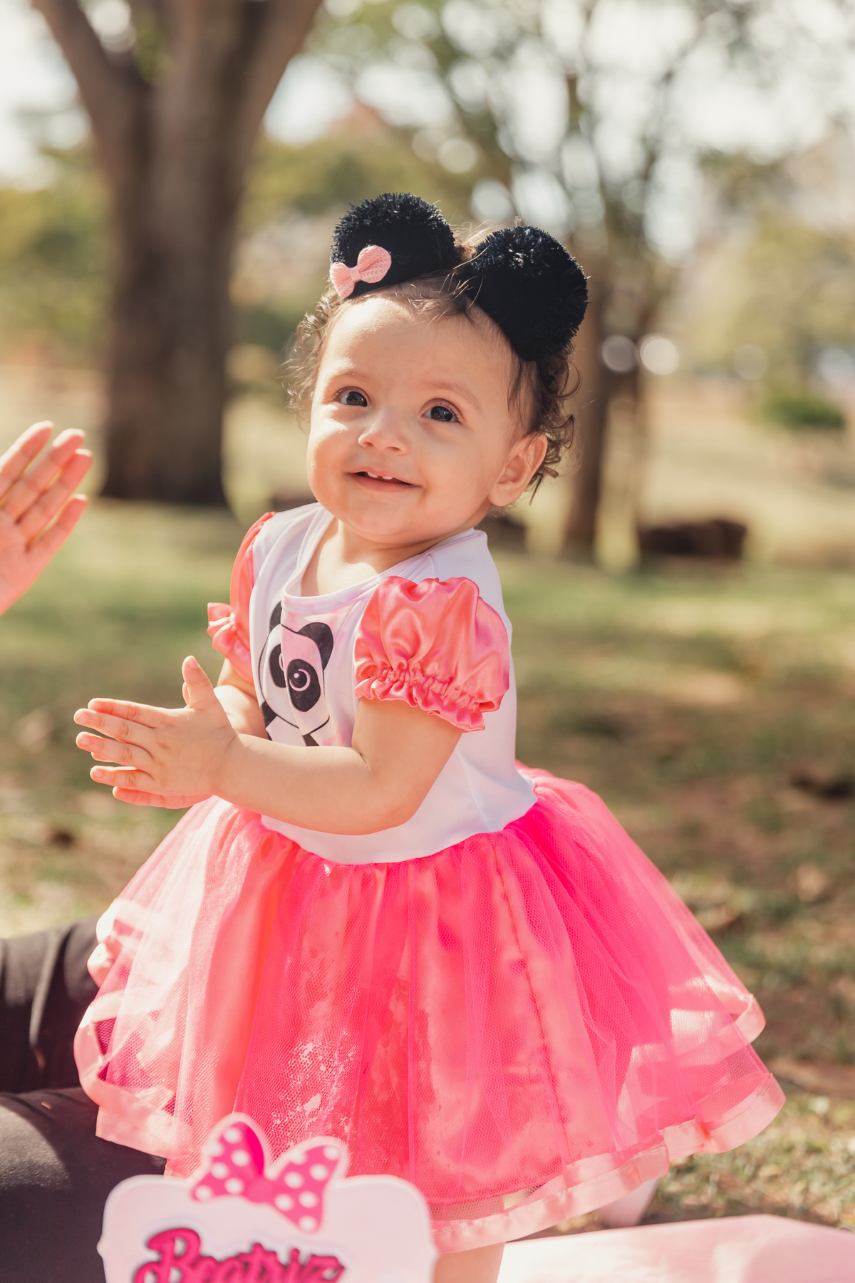 smash the cake bauru