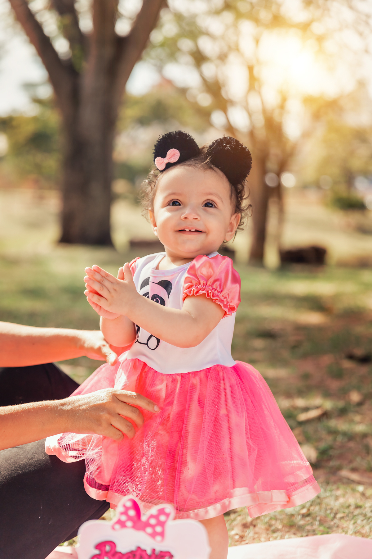 smash the cake bauru