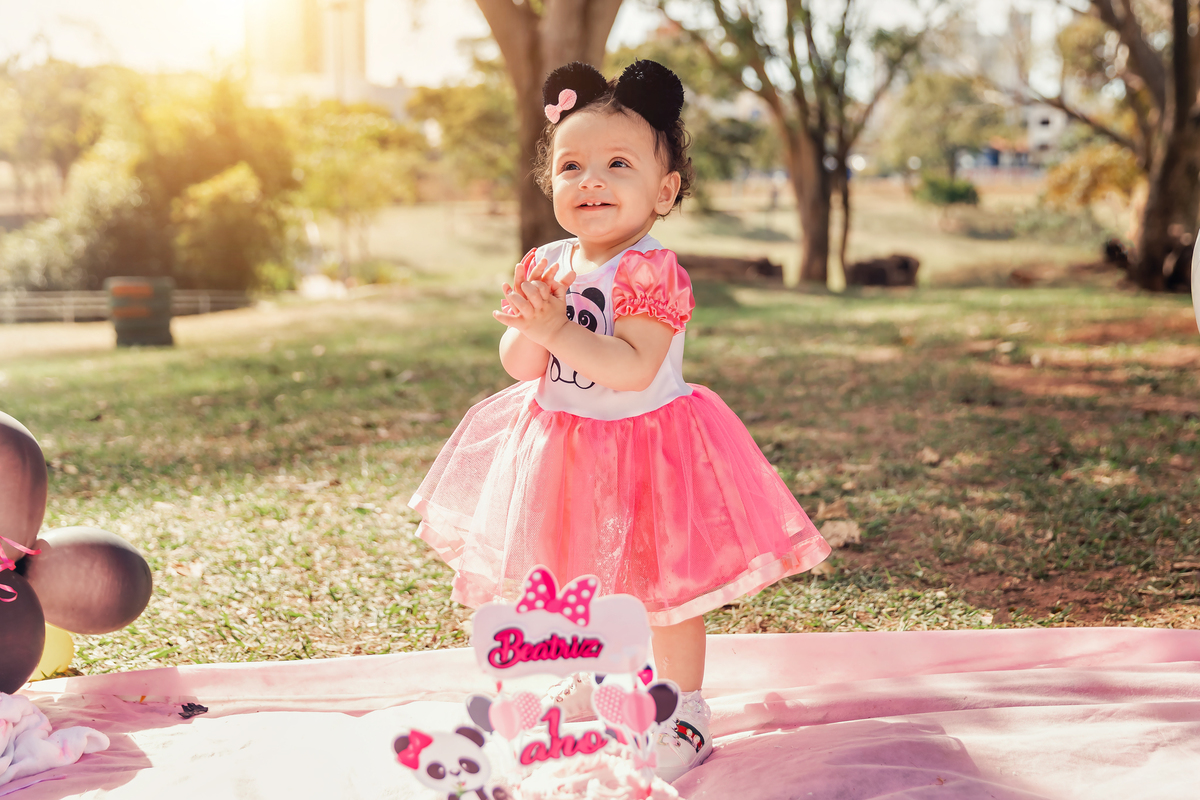 smash the cake bauru