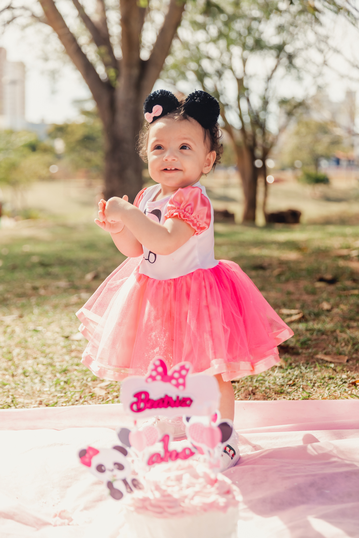 smash the cake bauru