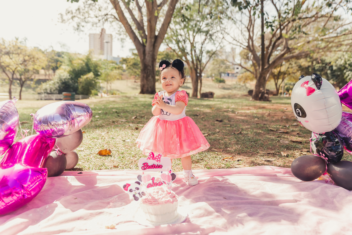 smash the cake bauru