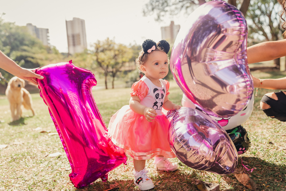 smash the cake bauru