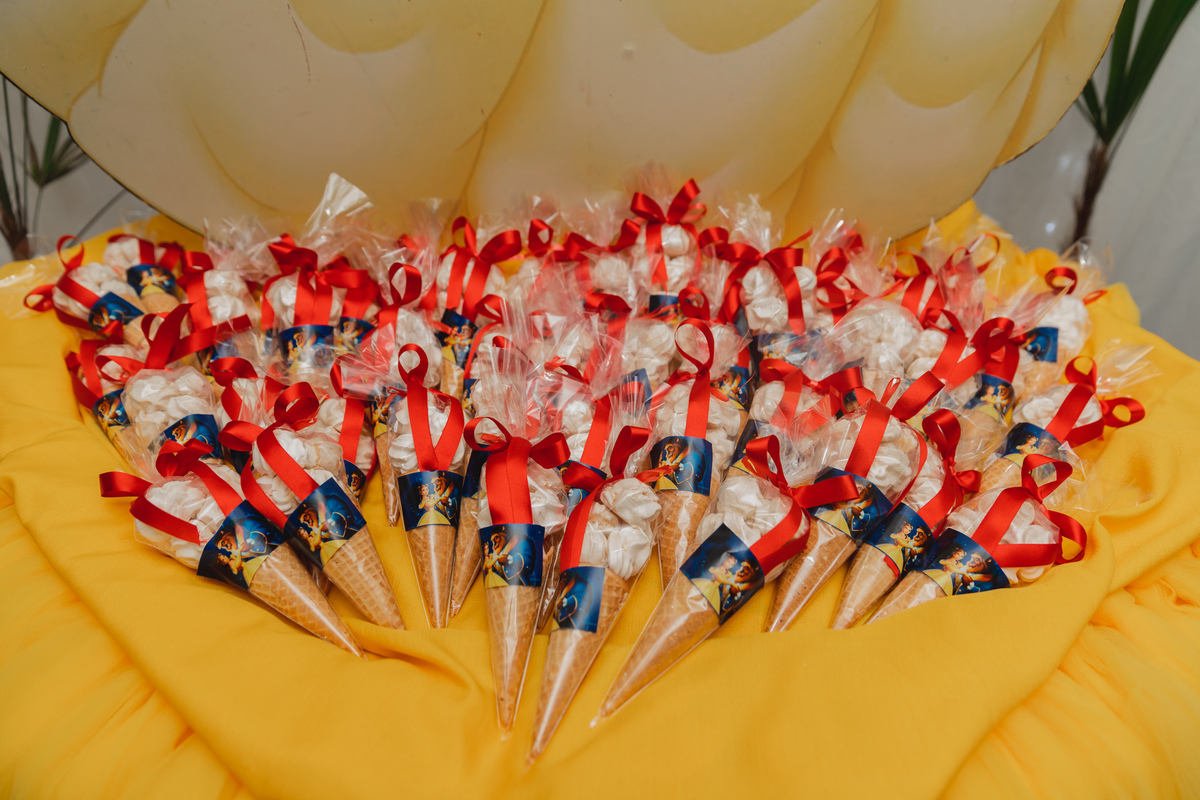 festa debutante bauru