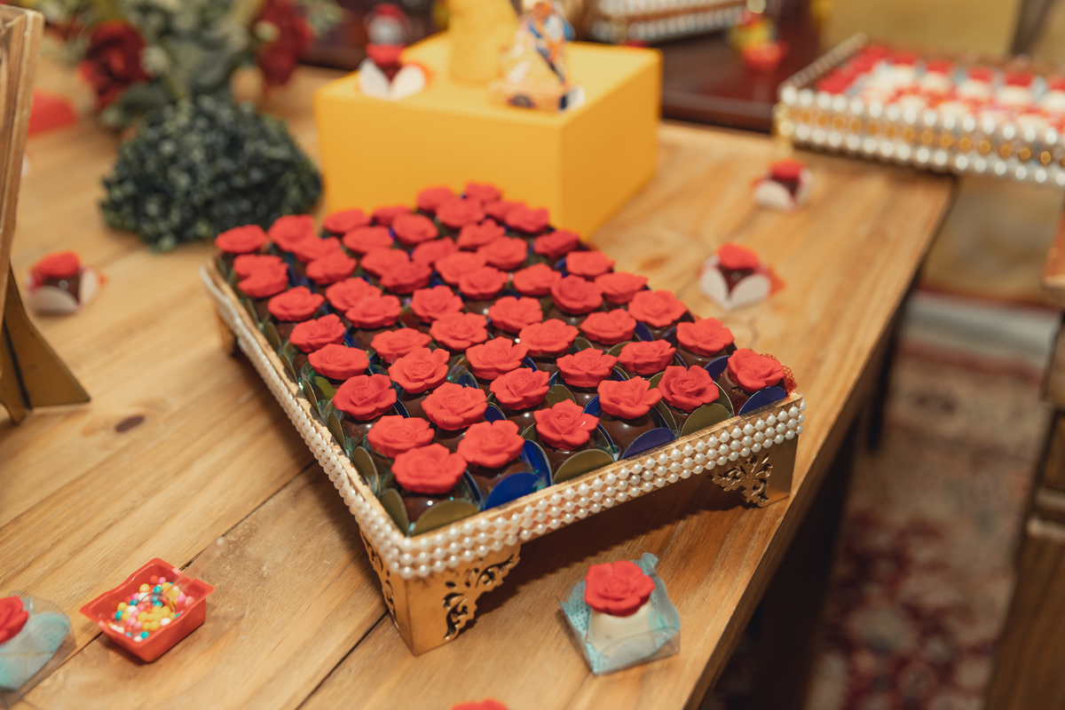 festa debutante bauru