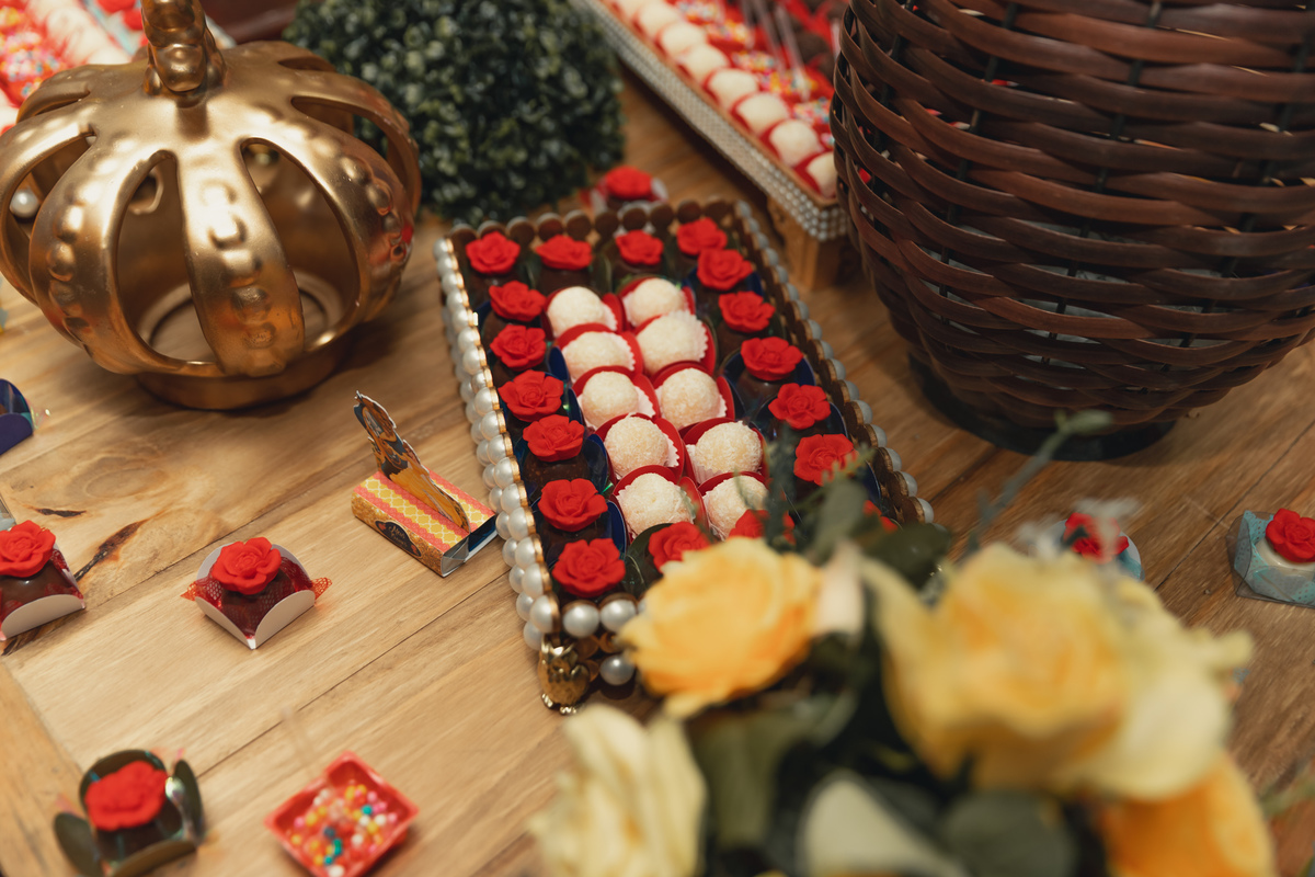 festa debutante bauru