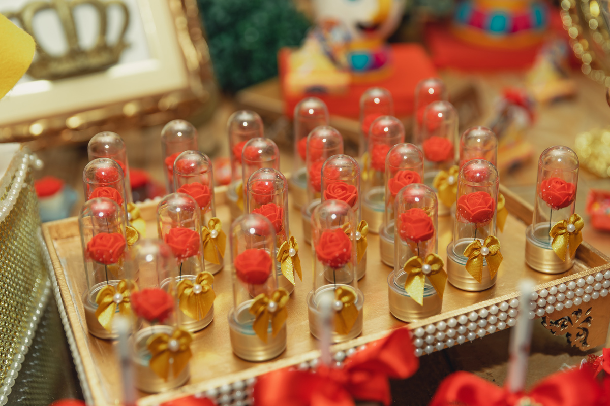 festa debutante bauru