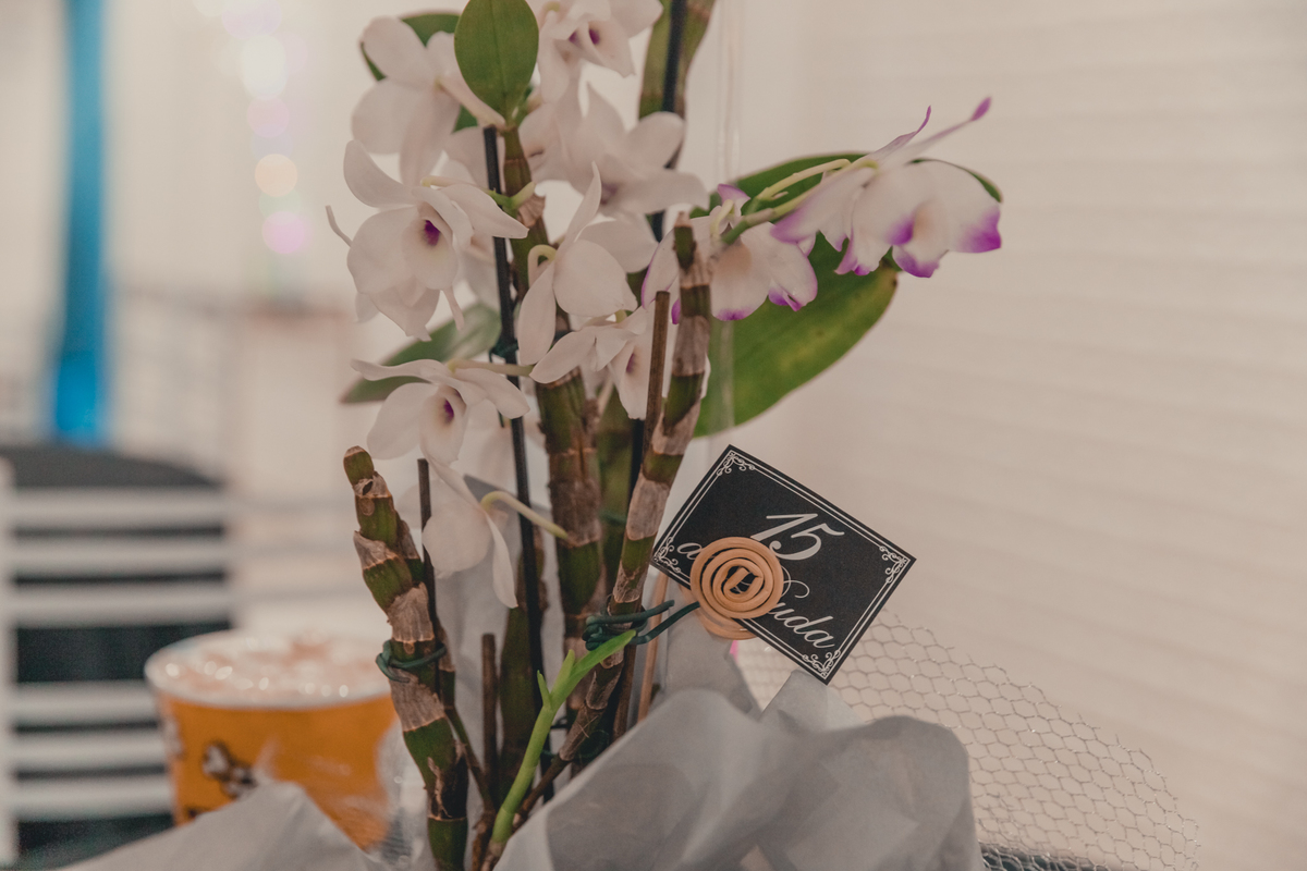 festa debutante bauru