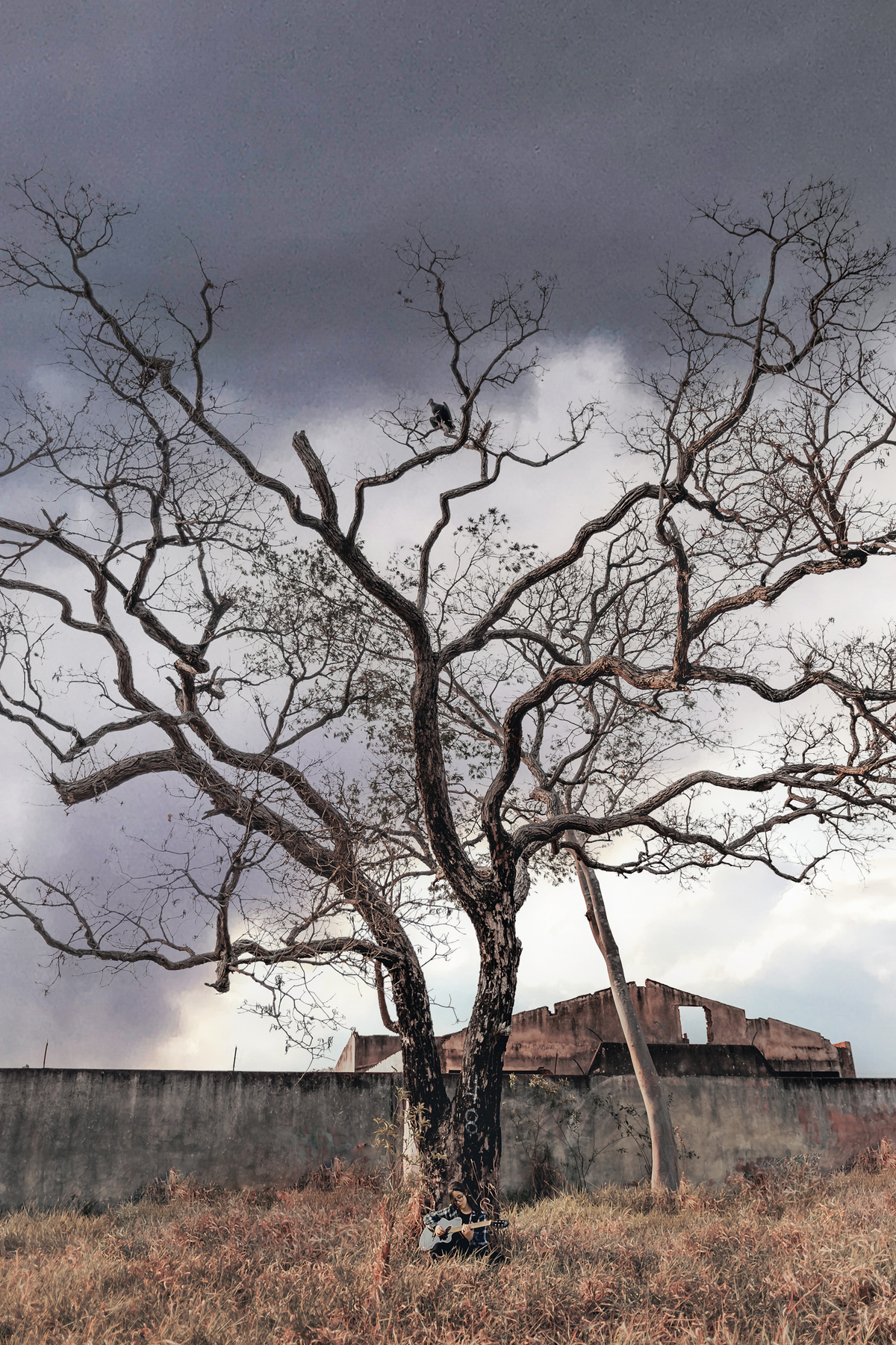 ensaio debutante bauru