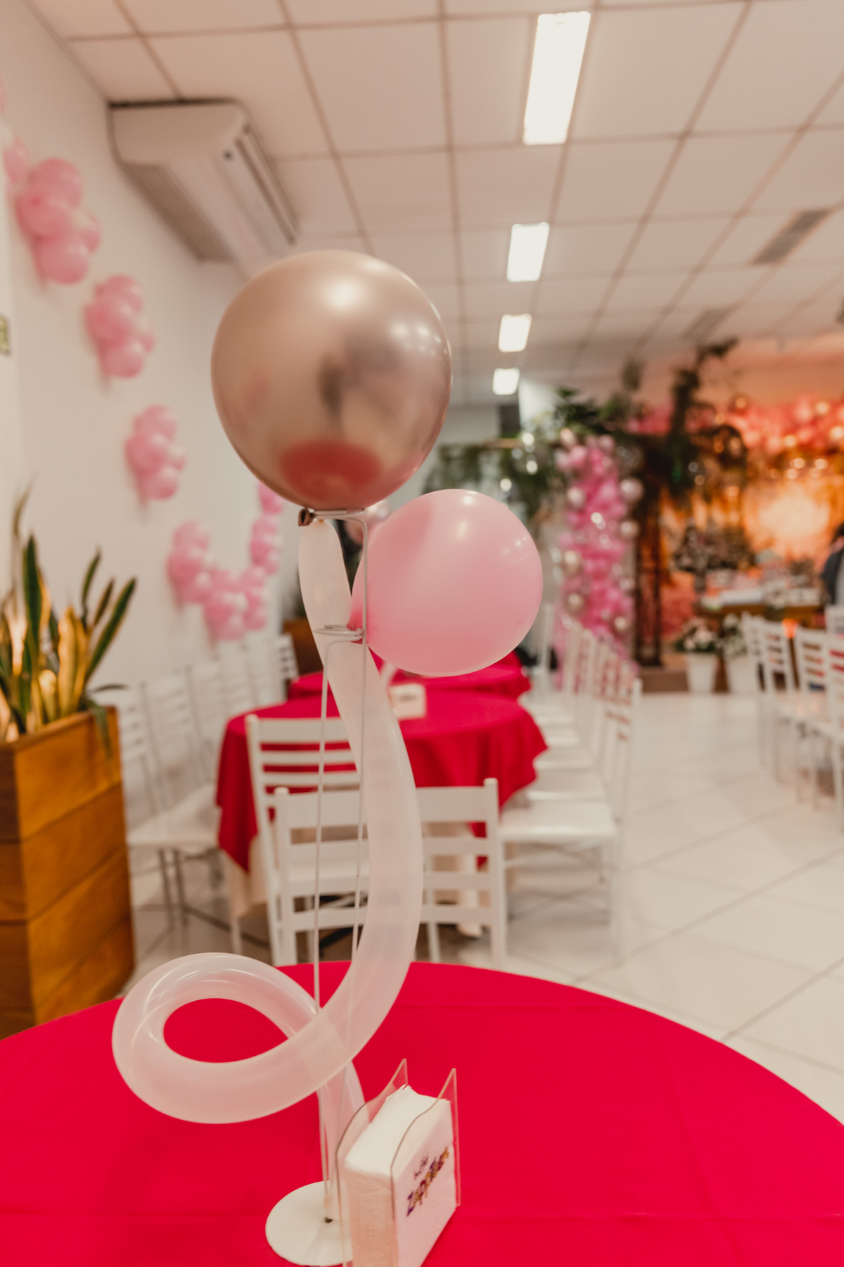 festa infantil zappteen