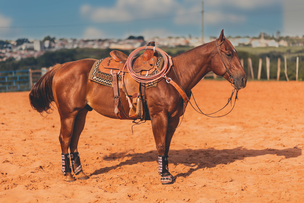 ensaio debutante lençóis paulista