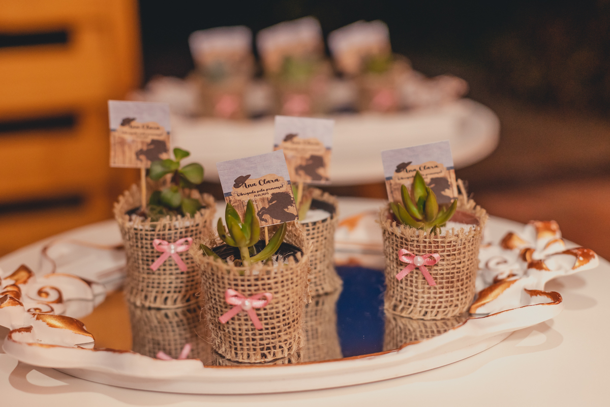 festa debutante lençóis paulista