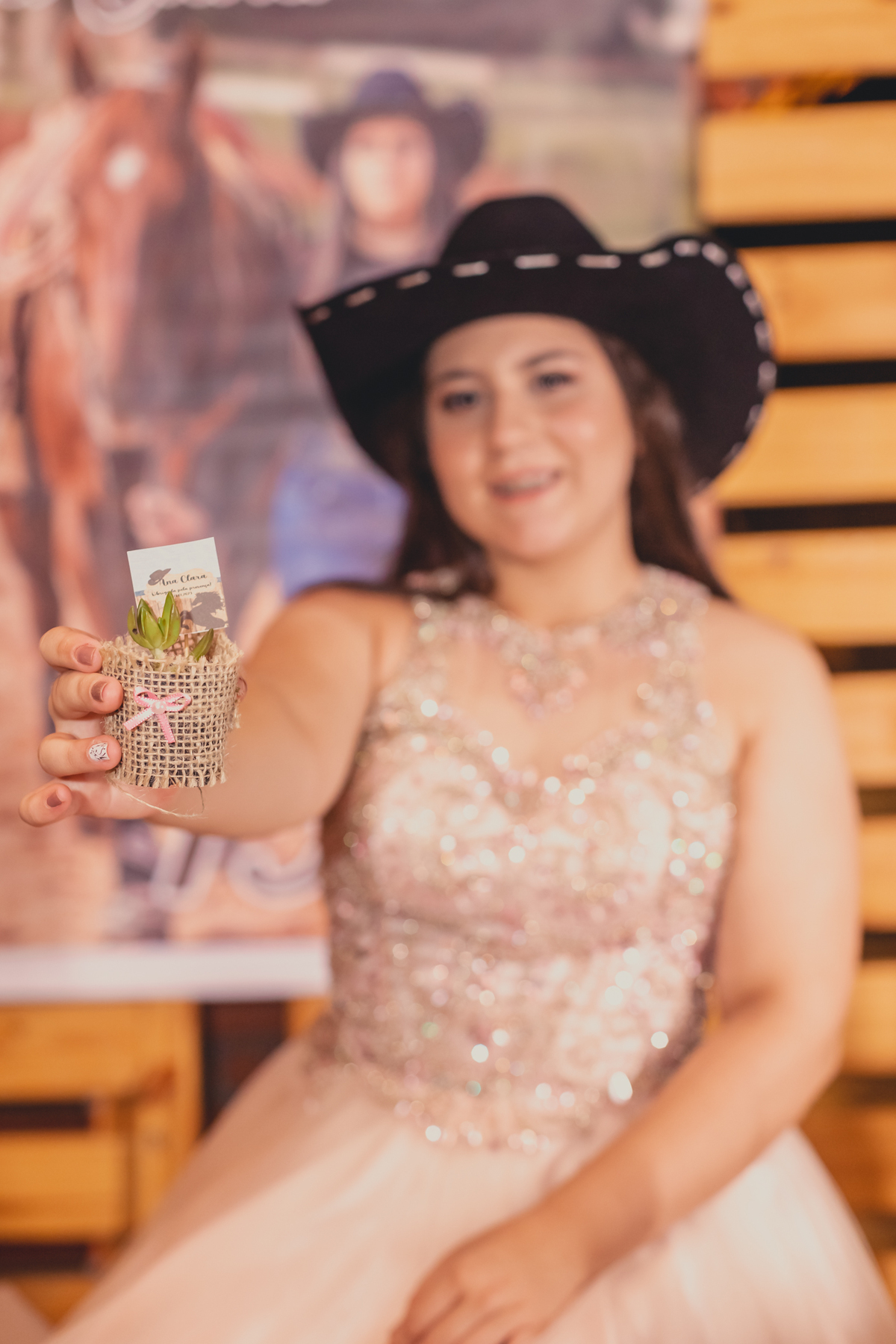 festa debutante lençóis paulista