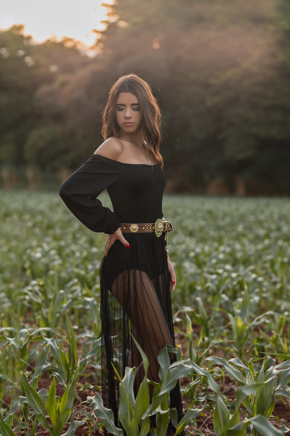 ensaio de 15 anos Pederneiras