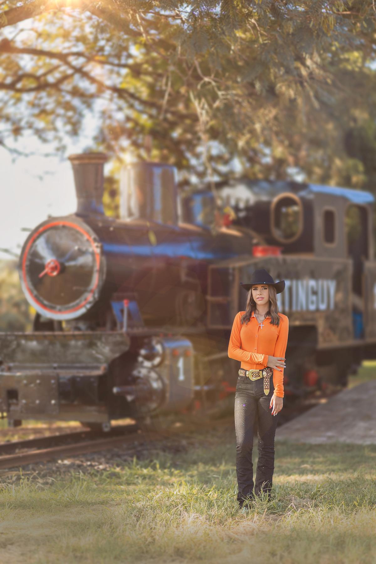 ensaio de 15 anos Pederneiras