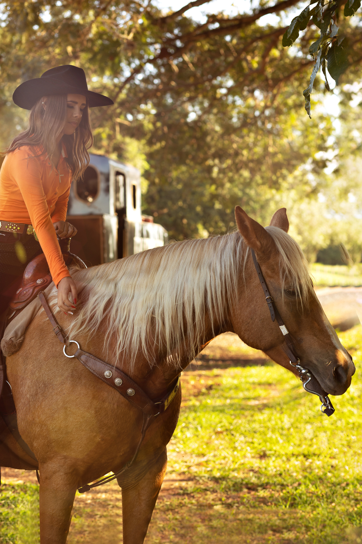 ensaio de 15 anos Pederneiras